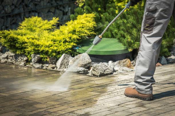 Best Pre-Holiday Cleaning  in Tehaleh, WA