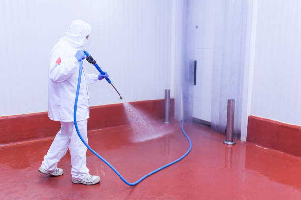 Reliable Tehaleh, WA Pressure Washing Solutions